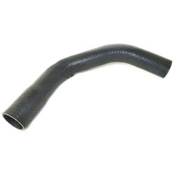 Radiator Hose - Upper (4TNE98)