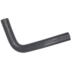 Radiator Hose - Lower (4Y)