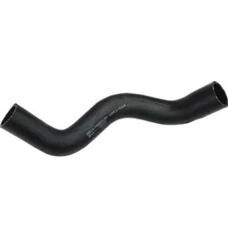 Radiator Hose - Lower (2Z)