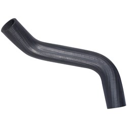 Radiator Hose - Lower (F2) - Hyster TX