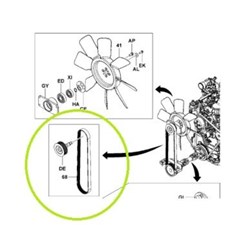 Fan Drive Belt - 14Z,1FS (CHECK WITH VELOX FOR SERIAL NUMBER)