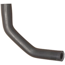 Radiator Hose - Lower (K21)