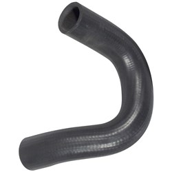 Radiator Hose - Lower (K15, K21)