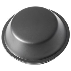 Hub Cap - FG25T6