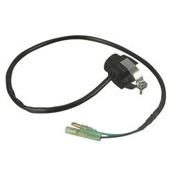 Horn Switch Assembly (12-80 Volt)