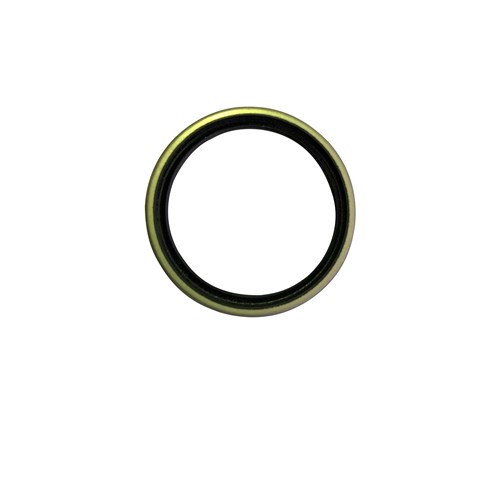 Oil Seal - King Pin HC R'Series 1.8t