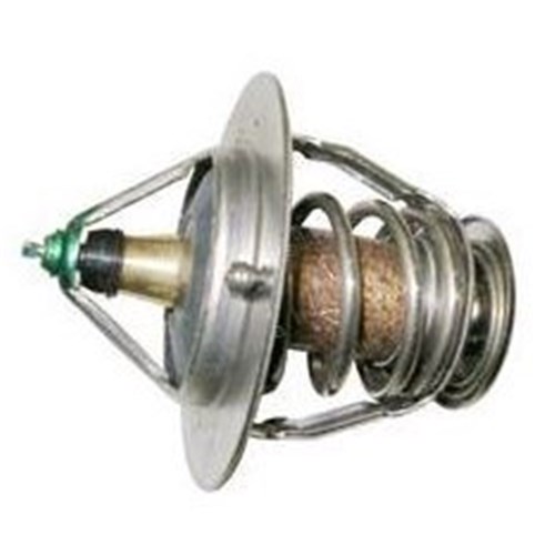 Thermostat (1FZ)