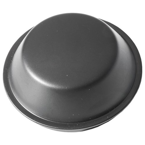 Hub Cap - FG25T6