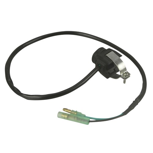 Horn Switch Assembly (12-80 Volt)